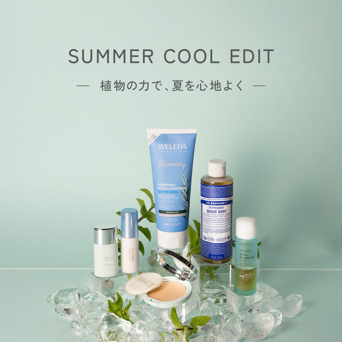 Cool Summer Special Campaign